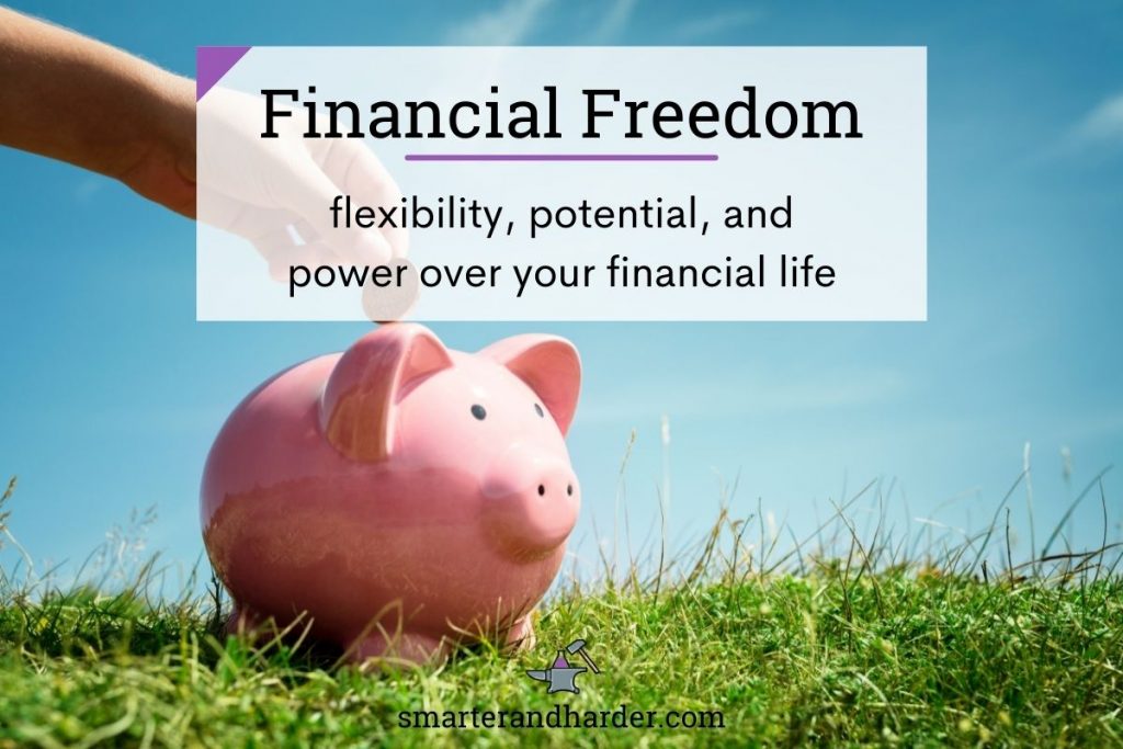 financial freedom definition piggy bank in field