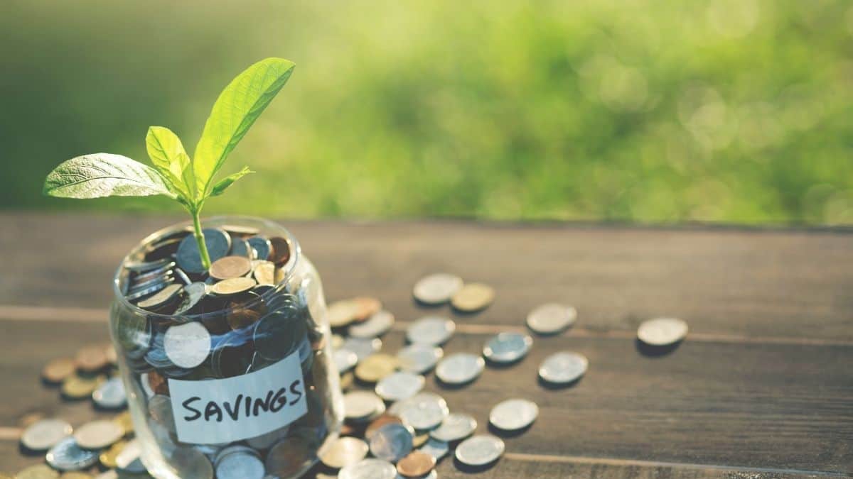 money growing savings in jar